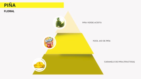 Fragancia Piña - Imagen 2