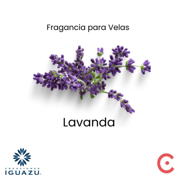 Fragancia Lavanda