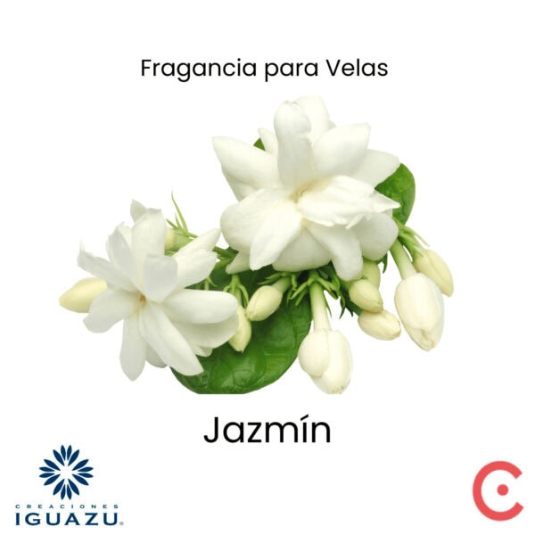 Fragancia Jazmín