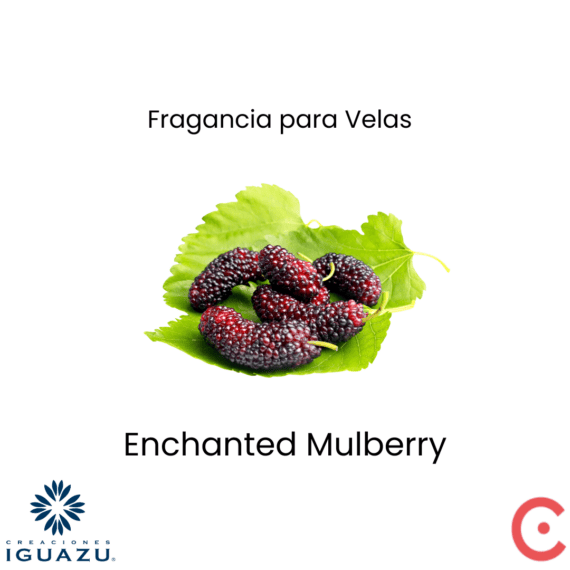 Fragancia Enchanted Mulberry