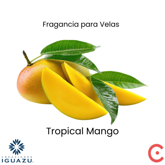 fragancia new coconut